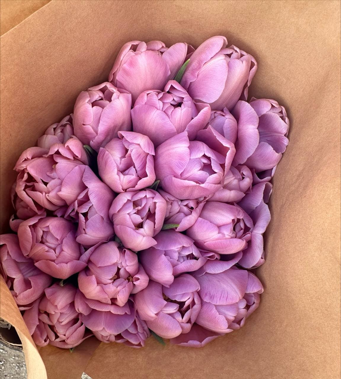 Сиреневый туман