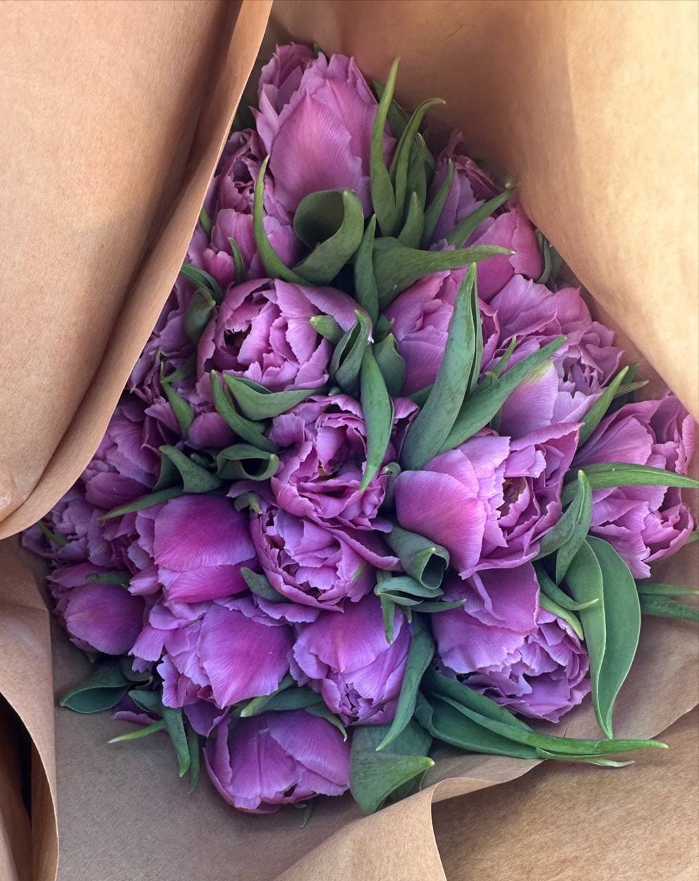 Фиолетовый бархат